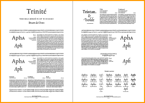 Trinite A3 print